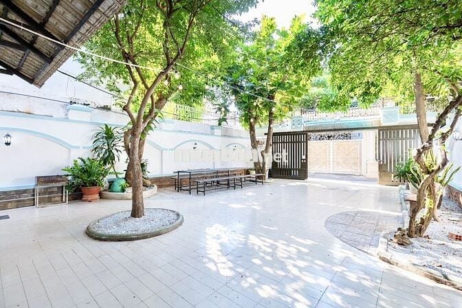 cho thuê villa hồ bơi đẹp làm homestay