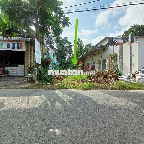 Cần bán 200m2 đất, giá 1,5 tỷ, Đ.Liêu Bình Hương, Tân Thông Hội,