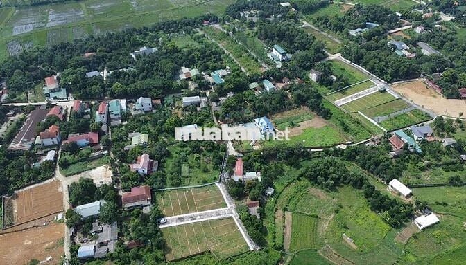 TẠI SAO KHÁCH HÀNG NÊN ĐẦU TƯ ĐẤT NỀN HÒA LẠC?