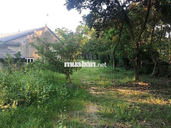 Kẹt Tiền Bán Nhanh 4200m2 Đất Mặt Tiền Kinh Doanh