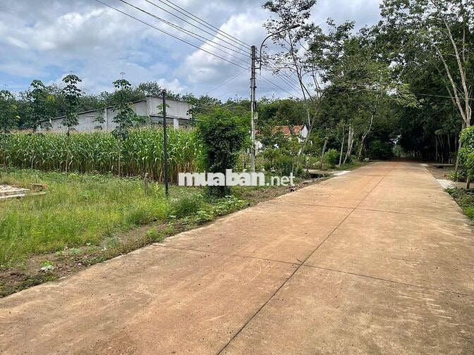 Lô đất đẹp bên hong chợ, 342m2 đất thổ cư giá 410 triệu sổ hồng riêng
