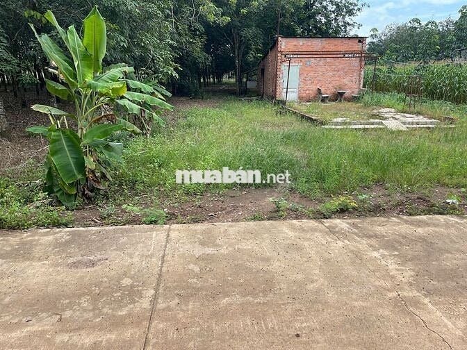 Lô đất đẹp bên hong chợ, 342m2 đất thổ cư giá 410 triệu sổ hồng riêng