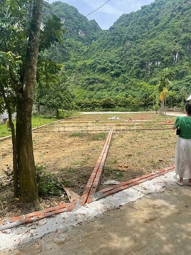🏗 ĐẤT NỀN GẦN KCN THANH SƠN – CHỈ TỪ 3XX TRIỆU/NỀN 📍 Thanh Sơn, Lươn