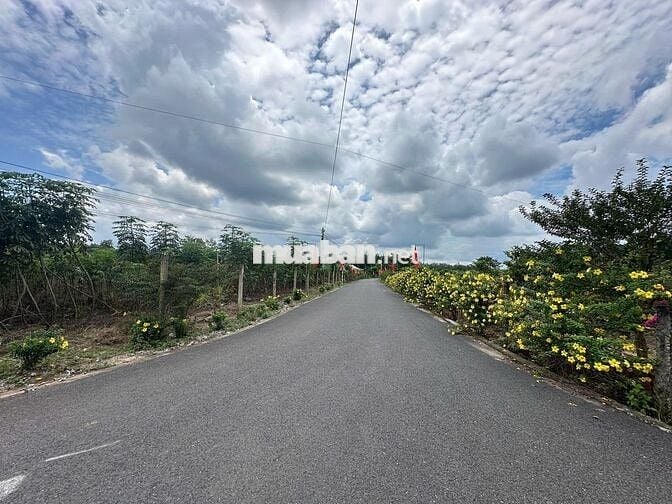 Chính chủ bán đất 300m2 (100TC) sát ủy ban , đường thông . SHR
