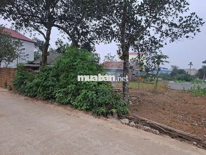 🔥 ĐẤT CC SỔ ĐỎ 196,9m tặng thêm ~30m2 đất ngoài sổ–THẠCH THẤT, HN