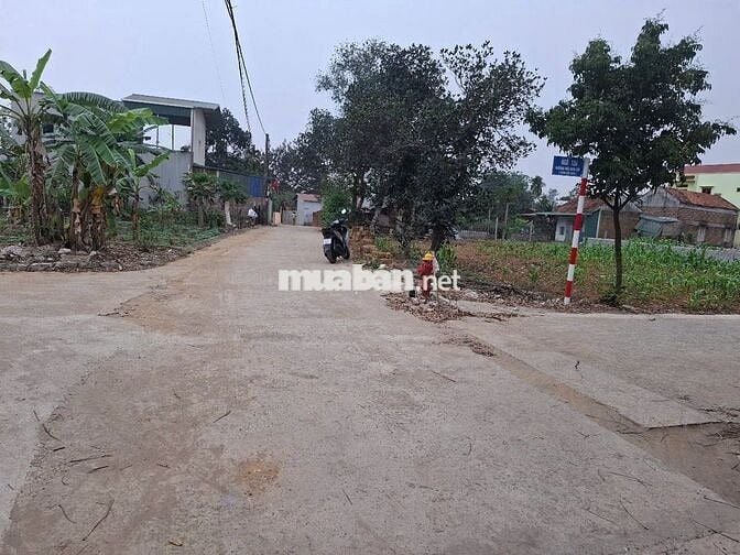 🔥 ĐẤT CC SỔ ĐỎ 196,9m tặng thêm ~30m2 đất ngoài sổ–THẠCH THẤT, HN