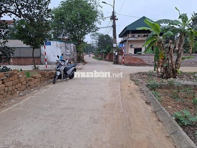 🔥 ĐẤT CC SỔ ĐỎ 196,9m tặng thêm ~30m2 đất ngoài sổ–THẠCH THẤT, HN