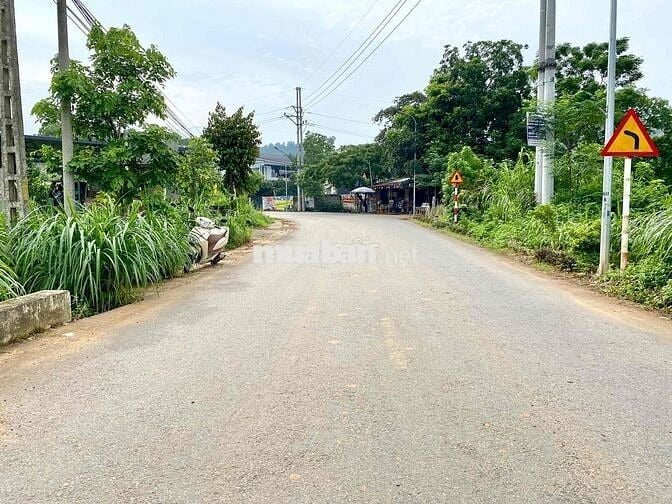 BÁN ĐẤT YÊN BÀI: MẶT ĐƯỜNG NHỰA 8M, BÁM SUỐI