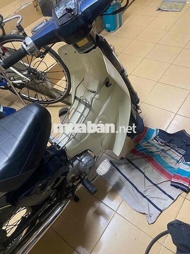 Cub 50 dk 95 ngay chủ