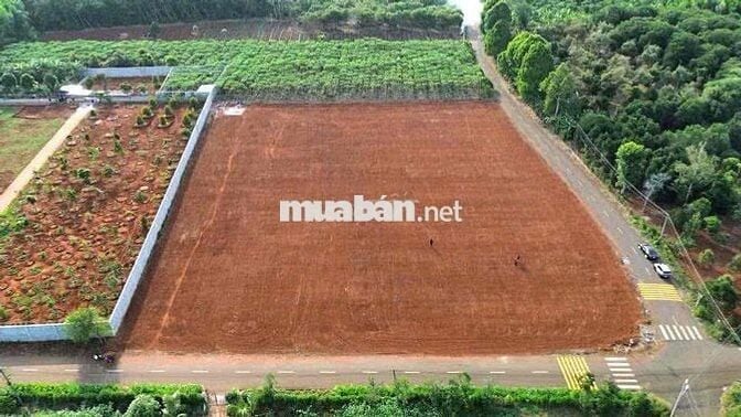 LÔ ĐẤT 1 SÀO CÓ 80m THỔ CƯ ĐƯỜNG NHỰA 5 LÀN XE HƠI - TP BÀ RỊA- Brvt