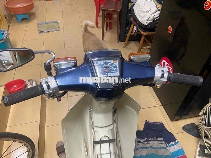 Cub 50 dk 95 ngay chủ