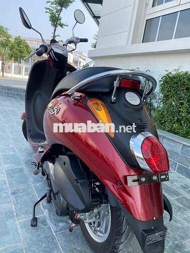 Thanh lý Elit 50cc học sinh chính hãng sym mới 99%