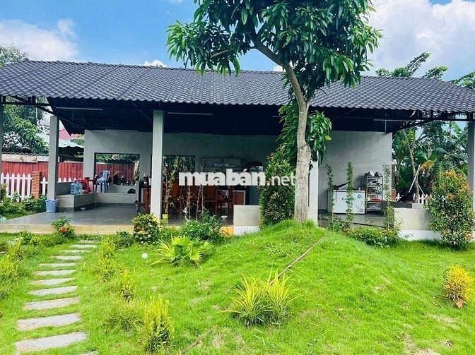 NHÀ VƯỜN XÃ XUYÊN MỘC - TP HCM GẦN BIỂN HỒ TRÀM -/22×114-/ 3200mv