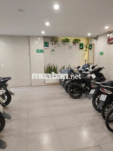 BÁN TÒA CCMN 7 TẦNG – NGUYỄN KHANG – THANG MÁY  – DÒNG TIỀN 60TR/THÁNG