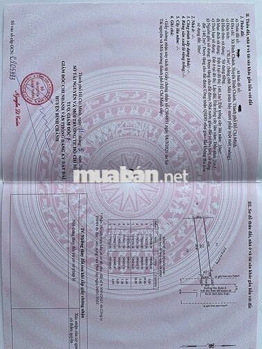 Vỡ nợ cần bán gấp lô đất mặt tiền Đ.Đinh Đức Thiện,170m-SHR