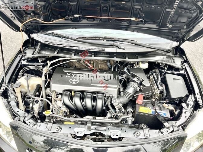 Toyota Corolla XLi 1.6 AT 2009 - 256 Triệu