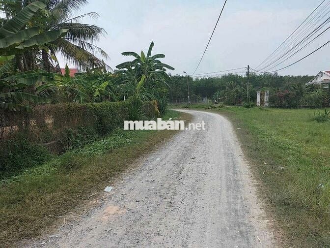 Đất cu chi 1,7tỷ- 139 m2
1/ đỗ đăng tuyển,  An Nhơn Tây, Huyện Củ chi