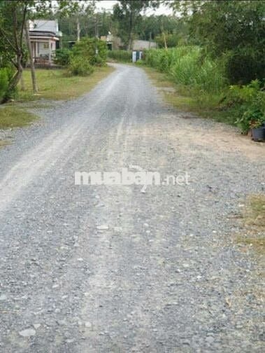 Đất cu chi 1,7tỷ- 139 m2
1/ đỗ đăng tuyển,  An Nhơn Tây, Huyện Củ chi