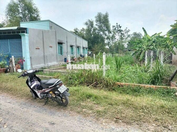 Đất cu chi 1,7tỷ- 139 m2
1/ đỗ đăng tuyển,  An Nhơn Tây, Huyện Củ chi
