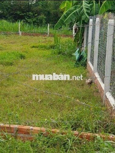 Đất cu chi 1,7tỷ- 139 m2
1/ đỗ đăng tuyển,  An Nhơn Tây, Huyện Củ chi