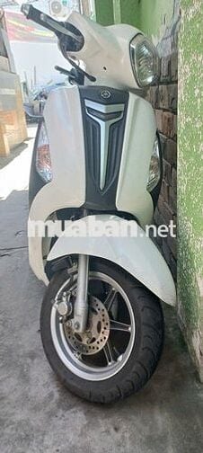 Grande màu trắng của dân văn phòng
