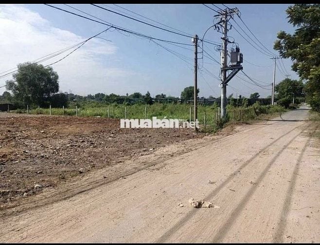 Chủ ngộp bán nhanh đất MT Thái Mỹ 165m2, full thổ cư 790tr, SHR