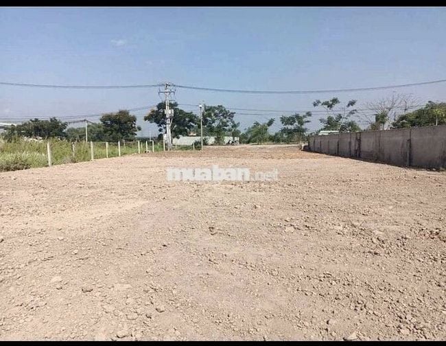 Chủ ngộp bán nhanh đất MT Thái Mỹ 165m2, full thổ cư 790tr, SHR