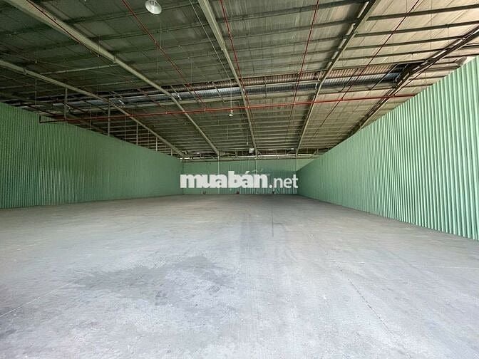 KCN Tân Kim mở rộng cho thuê kho xưởng diện tích vừa và nhỏ QL50
