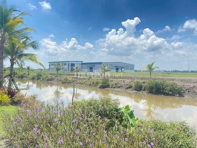 Bán đất kho xưởng KCN Đức Hòa, Long An ,Diện tích 6.000m² đến 12.000m2