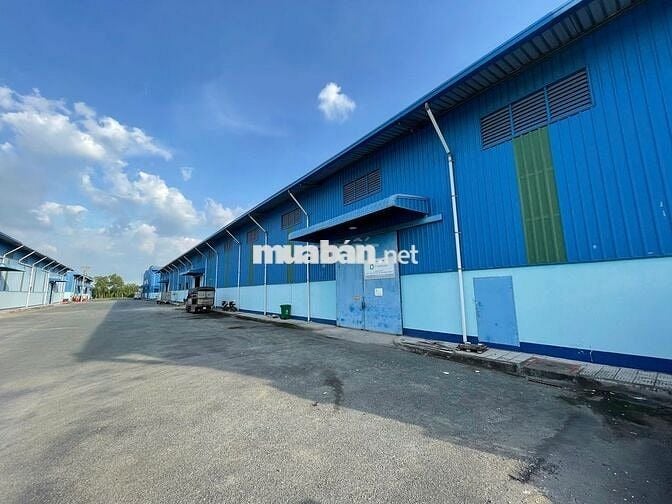 KCN Tân Kim mở rộng cho thuê kho xưởng diện tích vừa và nhỏ QL50
