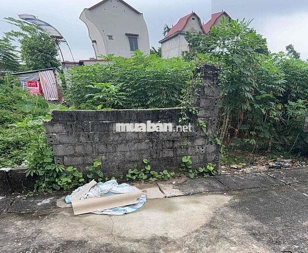 Đất Khu Tái Định Cư Sân Golf Văn Mỹ