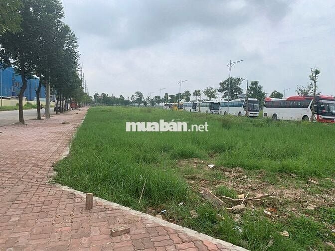 🏙️ ĐẤT NỀN ĐÔNG PHONG – VỊ TRÍ VÀNG, SINH LỜI VƯỢT TRỘI!