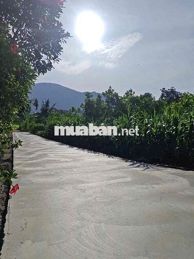bán gấp trong tuần 1 lô 200m2 giá 400tr tại Đồng Nai dân cư hiện hữu