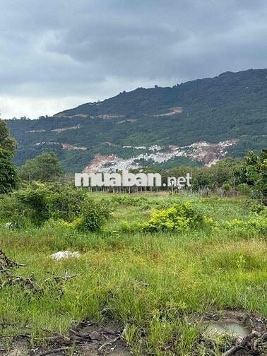Chỉ 180tr sở hữu ngay nền đất thổ cử 165m2 ngay núi Chứa Chan,Đồng Nai