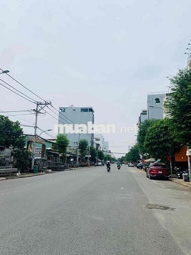 Mt Nguyễn Phúc Chu, kinh doanh đa ngành nghề