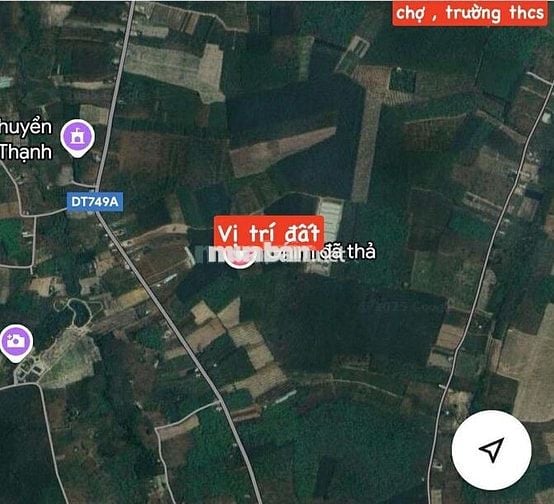 chính chủ bán 2 lô đất liền kề 10m mỗi lô 5m 8.7.0tr 2 lô