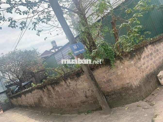 7.02 tỷ đất Kim Lâm,Kim Bài,Thanh Oai,gần Terlin 135m2,Vin Cao Viên