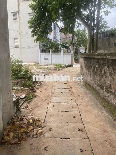 6 tỷ đất Kim Lâm - Kim Bài - Thanh Oai chính chủ gần CCN Terlin 100m2
