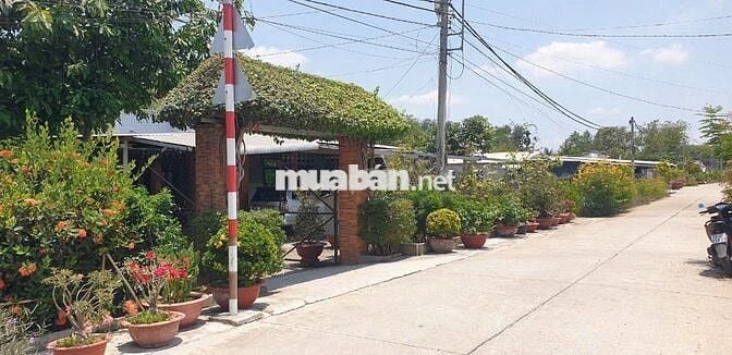 CHÍNH CHỦ CẦN BÁN 10x20m (100% Thổ Cư) sổ hồng mặt tiền Nguyễn Thị He