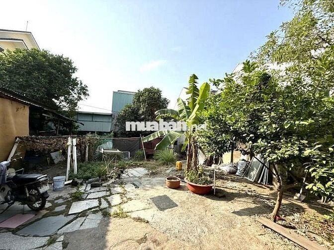 Đất VIP Linh Trung 170m² khu biệt thự, giảm sốc 6 tỷ còn 14 tỷ