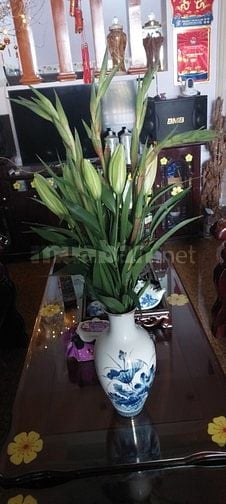 Cần bán nhà mặt tiền phường Tăng Nhơn Phú TPHCM 
