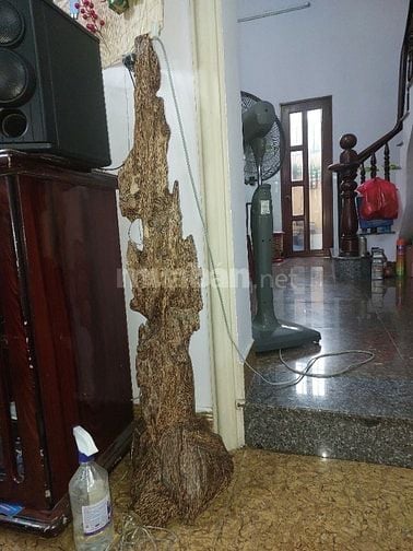 Cần bán nhà mặt tiền phường Tăng Nhơn Phú TPHCM 