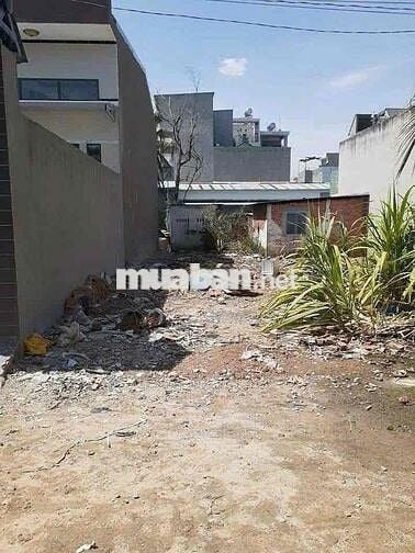🏡 BÁN LÔ ĐẤT CỦ CHI — XÃ TÂN THÔNG HỘI, CỦ CHI GIÁ 570 TRIỆU
