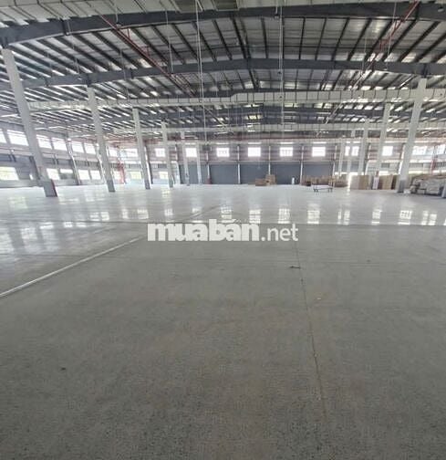 Cho thuê kho 10.000m² KCN Xuyên Á Long An, PCCC tự động, pháp lý chuẩn