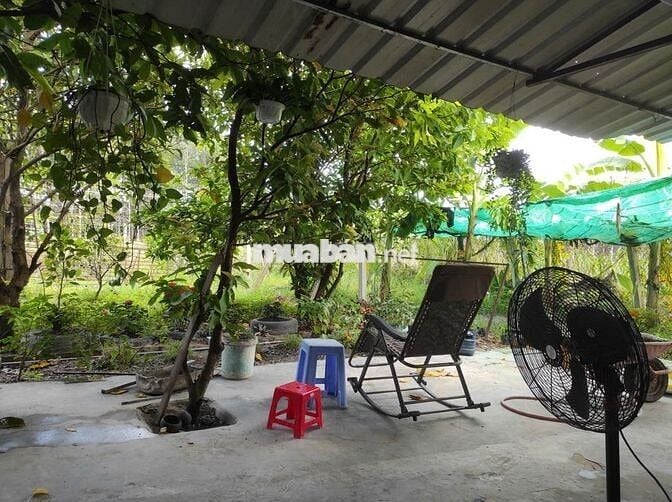🏡 Đất vườn Củ Chi 3.479m², đường ô tô🔥Chính chủ cần tiền mới bán, SHR