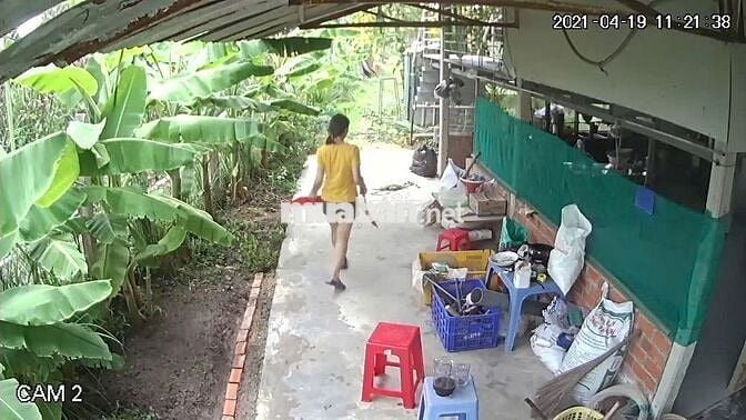 🏡 Đất vườn Củ Chi 3.479m², đường ô tô🔥Chính chủ cần tiền mới bán, SHR