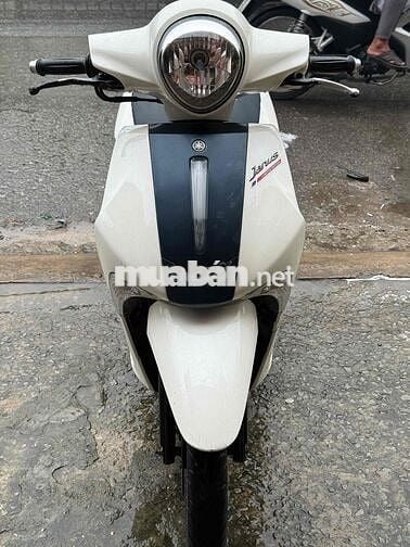 JANUS 2019 Biển thành phố