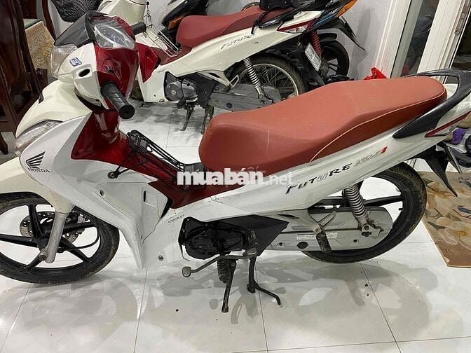 future led 2019 có gl