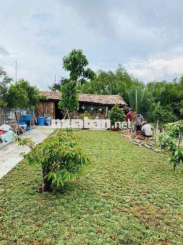 nhà vườn bán xã Phước Lại, Long An