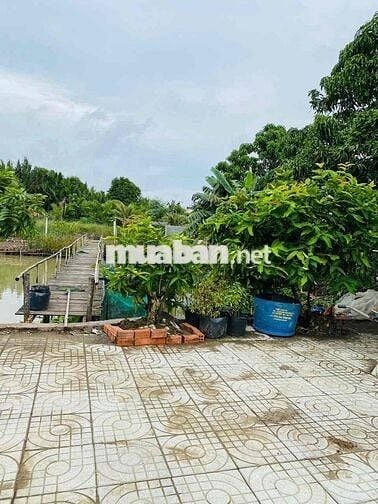 nhà vườn bán xã Phước Lại, Long An